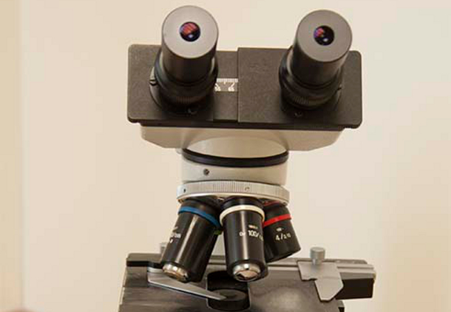 Ein Bild aus der Praxis